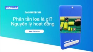 Phan tan loa la gi